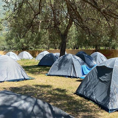 Hotel Borsh Olive Camping Exterior foto