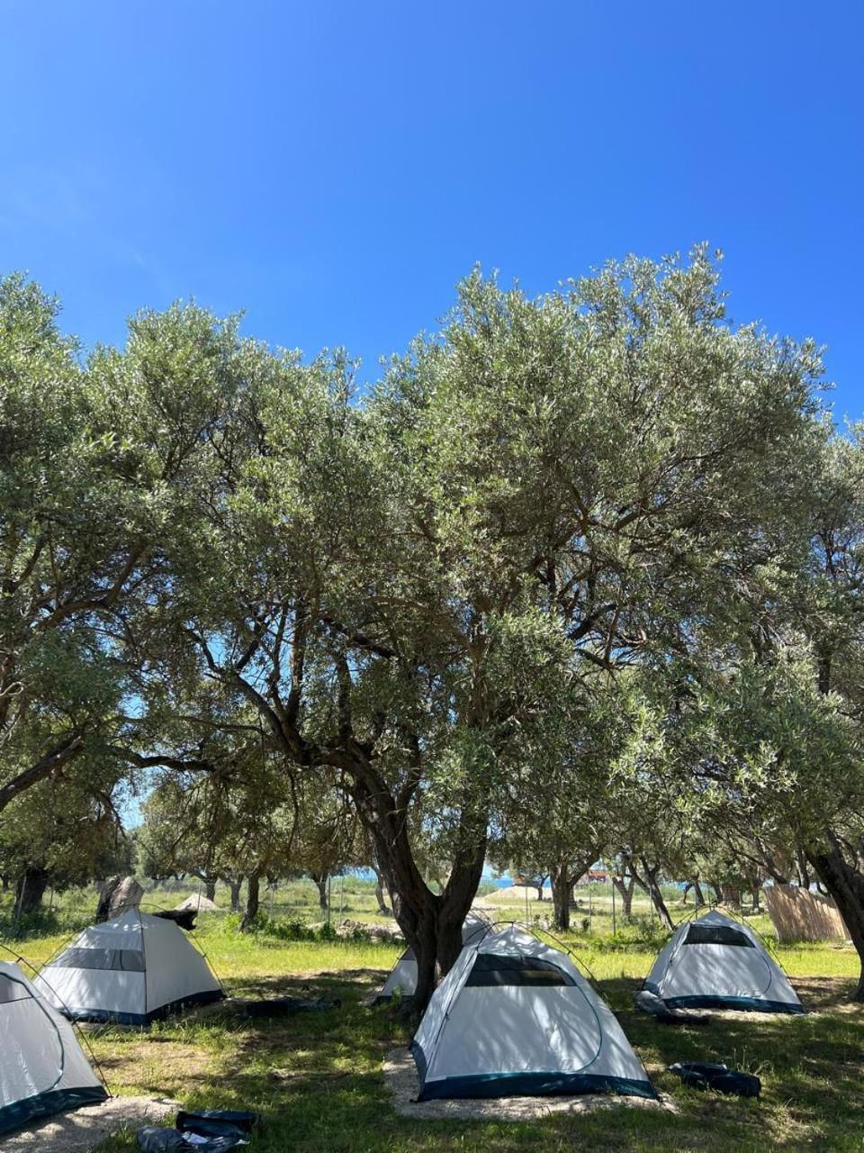 Hotel Borsh Olive Camping Exterior foto