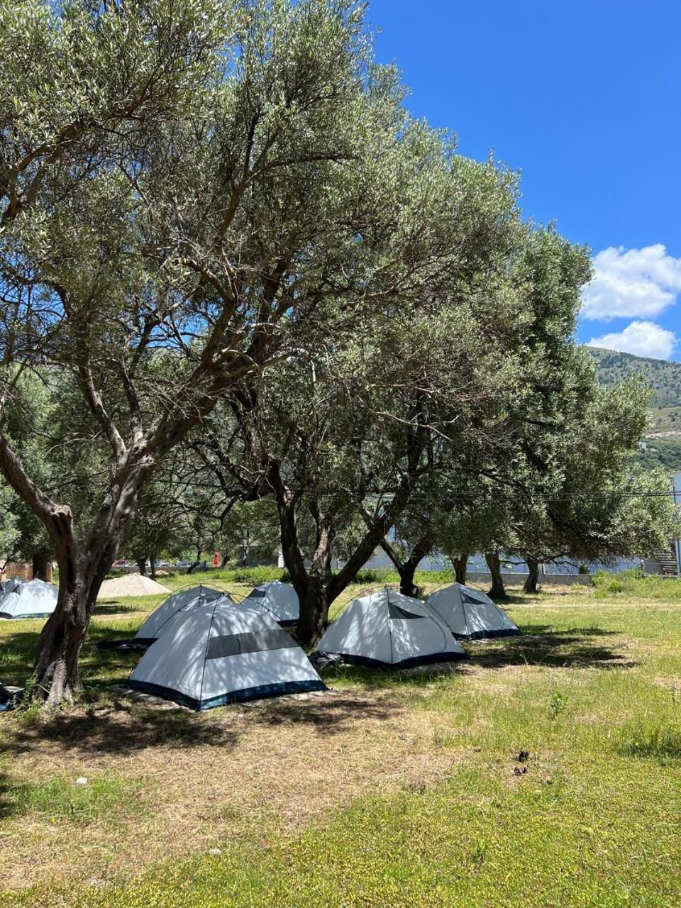 Hotel Borsh Olive Camping Exterior foto