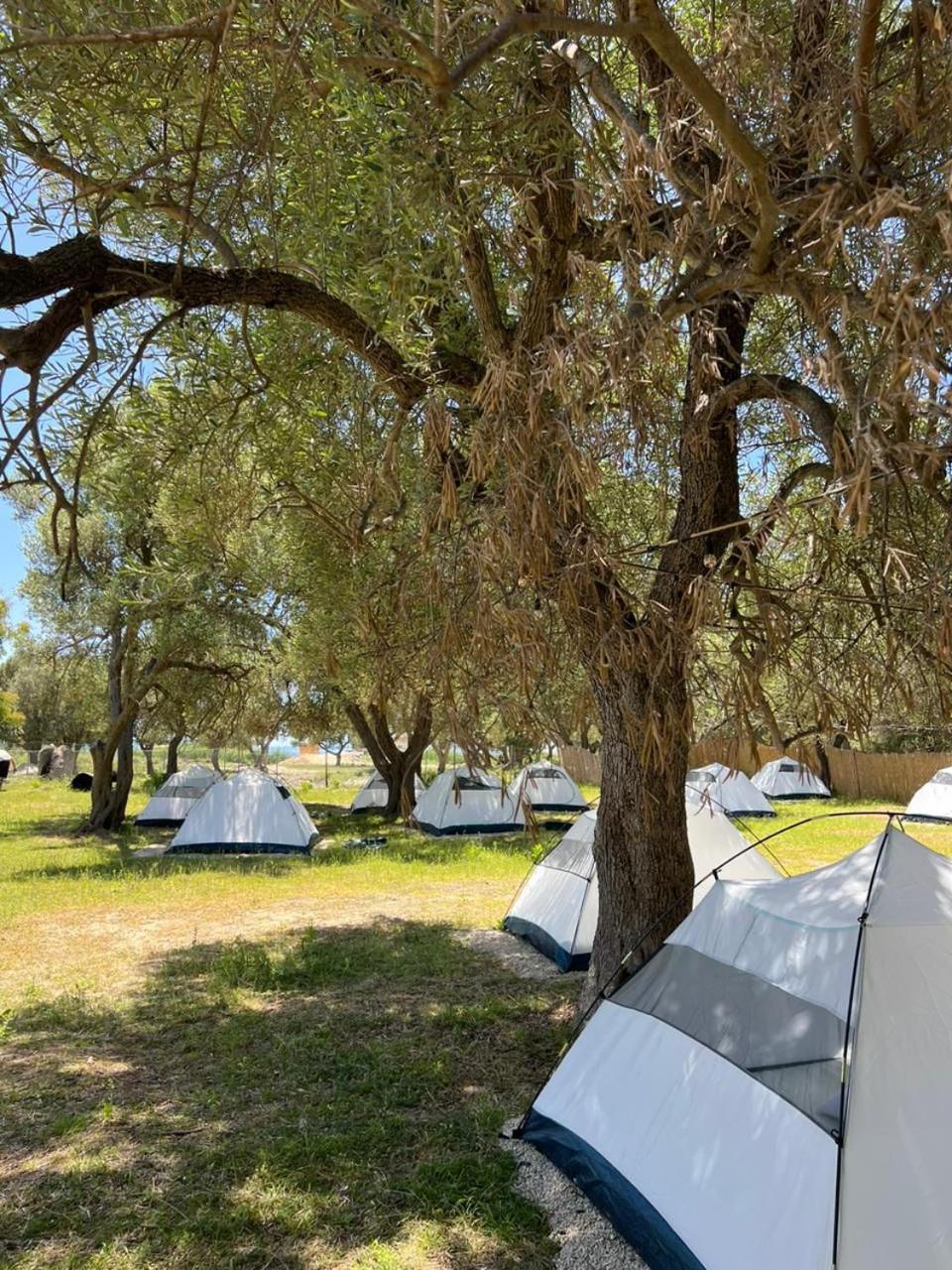 Hotel Borsh Olive Camping Exterior foto