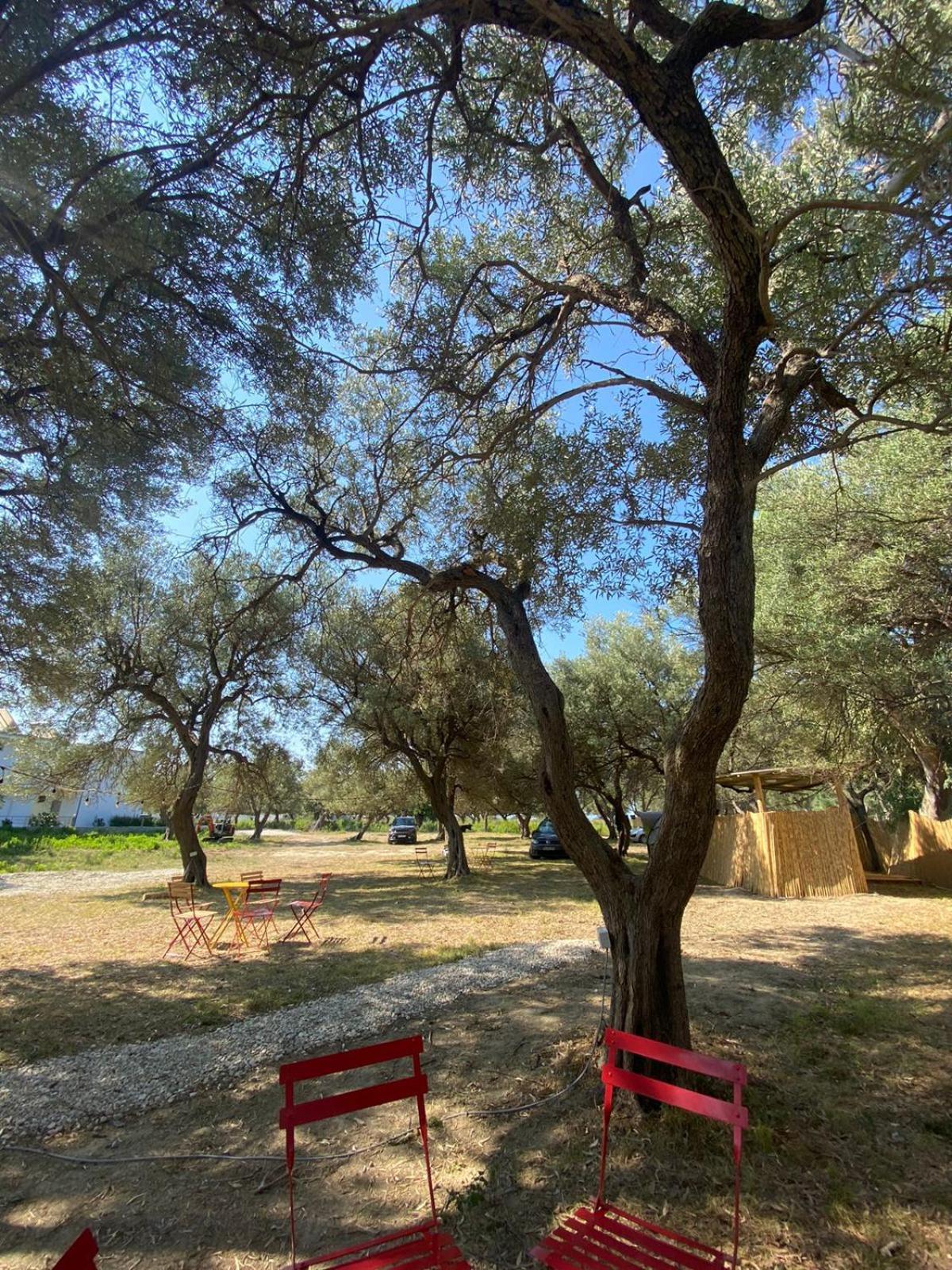 Hotel Borsh Olive Camping Exterior foto